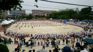 img20140603_124257