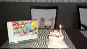 20150414132105